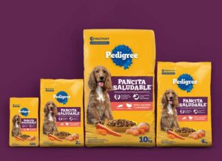 Pedigree Pancita Saludable, una nueva opción para la salud digestiva de los perros Pedigree Pancita Saludable