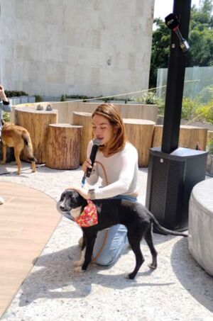 alianza Uber y Adopta.MX