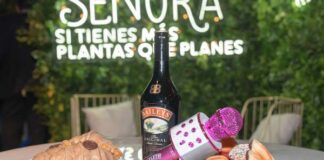 campaña Sí soy una señora Baileys