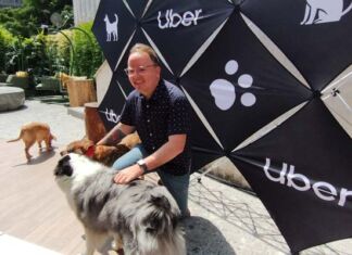 Uber Pet, el servicio que permite a los usuarios viajar con una mascota viajar con mascota Uber Pet