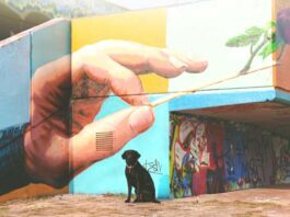 impactar audiencia con street art marketing