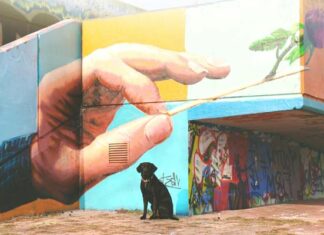 Street Art Marketing: ¿Cómo impactar a la audiencia a través del arte urbano? impactar audiencia con street art marketing