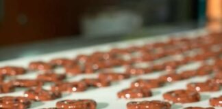 Grupo Cimarrón compra Galería del Chocolate