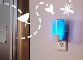 trampa para mosquitos STEM