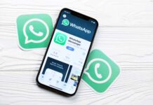 WhatsApp revoluciona la última milla: La clave para entregas rápidas y clientes felices eficacia de WhatsApp en última milla