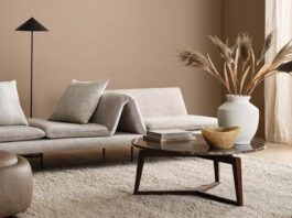 Sherwin-Williams presenta Cápsulas para Colormix Tendencias 2025 cápsulas Colormix Tendencias 2025