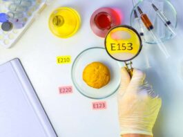 ¿De qué manera la tecnología está cambiando nuestra alimentación? cómo influye la tecnología en la alimentación