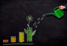 8 tips efectivos para tener un negocio ecológico y rentable cómo tener un negocio ecológico y rentable