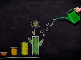 8 tips efectivos para tener un negocio ecológico y rentable cómo tener un negocio ecológico y rentable