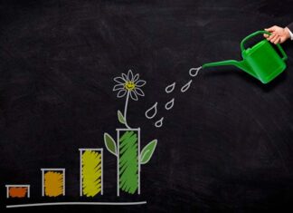 8 tips efectivos para tener un negocio ecológico y rentable cómo tener un negocio ecológico y rentable