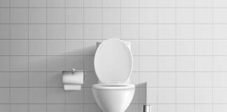 Harpic promueve acceso baños dignos