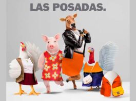 sitio web renovado Bachoco