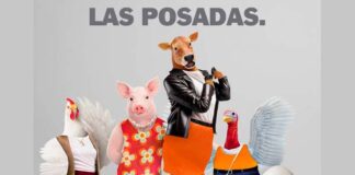 sitio web renovado Bachoco