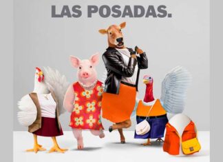 sitio web renovado Bachoco