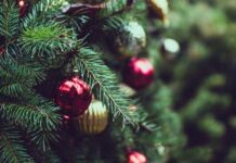 Walmart de México habilita 29 centros de acopio para reciclar árboles de Navidad centros de acopio árboles de navidad