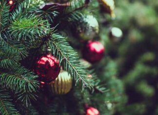 Walmart de México habilita 29 centros de acopio para reciclar árboles de Navidad centros de acopio árboles de navidad