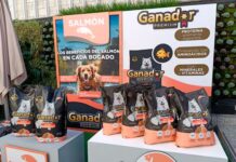 lanzamiento Ganador Premium Salmón