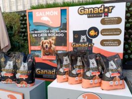 Ganador Premium Salmón, el nuevo alimento con Omega-3 que amarán los perros adultos lanzamiento Ganador Premium Salmón