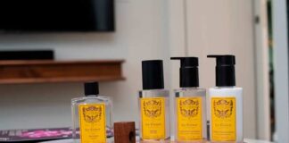 aromas Cypres para iniciar 2025