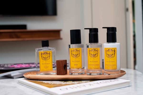 aromas Cypres para iniciar 2025