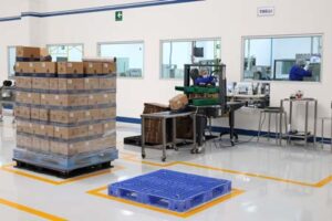 planta Grisi Vallejo