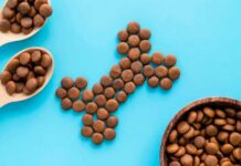 Alimento para mascotas: 5 tendencias que marcan el futuro del mercado tendencias alimento para mascotas