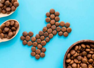 tendencias alimento para mascotas