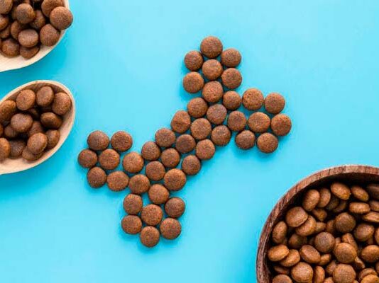 Alimento para mascotas: 5 tendencias que marcan el futuro del mercado tendencias alimento para mascotas