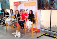 hospitales con terapias asistidas con perros