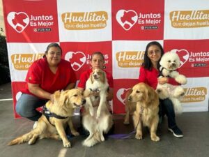 perros para apoyo terapéutico