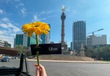 Uber sorprende con flores, chocolates y el automóvil de Pedro Infante en San Valentín Uber regala flores y chocolates en San Valentín