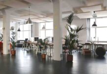 La importancia de la luz natural en espacios interiores Luz natural en el espacio arquitectónico