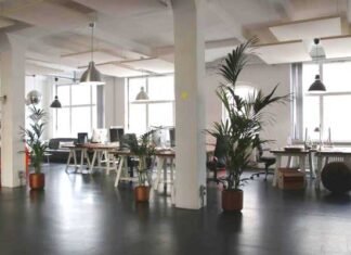 Luz natural en el espacio arquitectónico