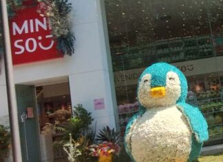 Participa en la buba experience de Miniso en el Festival FYJA 2025 buba experience en Miniso