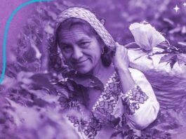 Sirenas del Campo: Starbucks México honra a caficultoras con iniciativas de salud y equidad Starbucks apoya a mujeres caficultoras