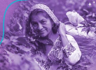 Sirenas del Campo: Starbucks México honra a caficultoras con iniciativas de salud y equidad Starbucks apoya a mujeres caficultoras