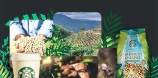 Café de Chiapas Starbucks