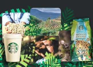 Café de Chiapas Starbucks
