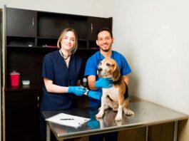 Hill’s realizará consultas nutricionales gratuitas para mascotas en parques de la CDMX consultas nutricionales para mascotas Hill's