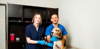 consultas nutricionales para mascotas Hill's