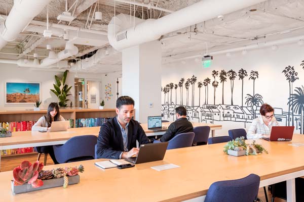 new-work qué es el new work