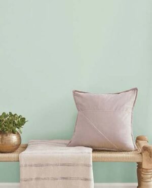 Slow Green SW 6456 Sherwin-Williams