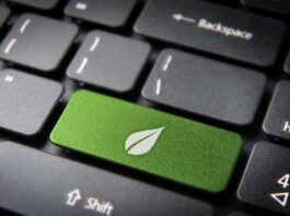 Sostenibilidad en canales digitales: Cuando el consumidor consciente marca el camino sostenibilidad en canales digitales