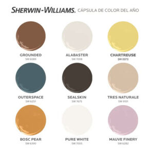 colores Cápsula de Color del Año 2025