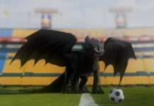 Chimuelo en estadio de Club Tigres