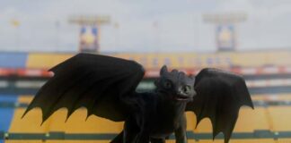 Chimuelo en estadio de Club Tigres