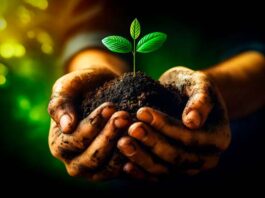 qué hacer para cuidar el medio ambiente