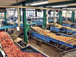 SES con pH neutro en la inocuidad alimentaria