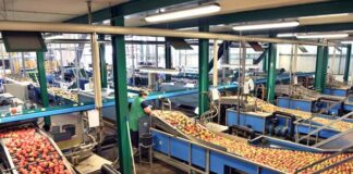 SES con pH neutro en la inocuidad alimentaria