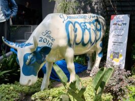 artistas del CowParade 2025